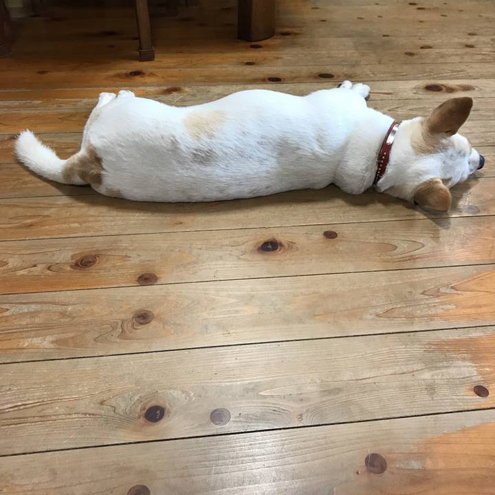 2af4683e dc07 416a a14e 1edb0028e954 1567917773922