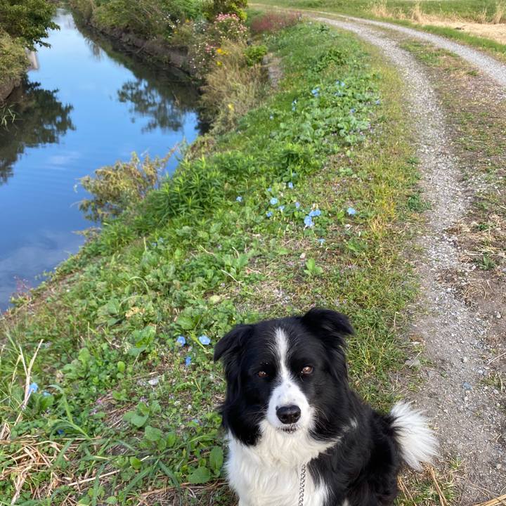 2af4740c 036b 4d9b b914 85f2feae4b5a 1602808004050