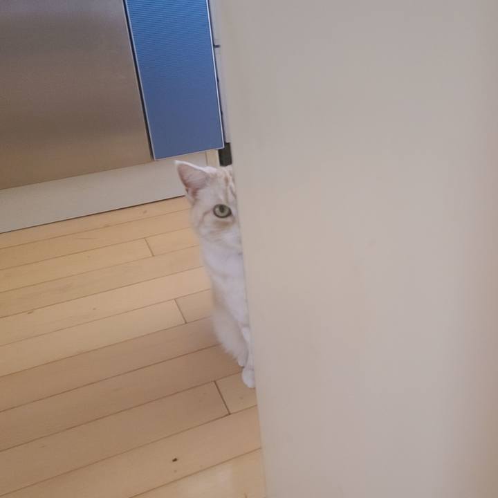 2af49d27 26a1 47cf bdfc 8c1859511119 1615420470801