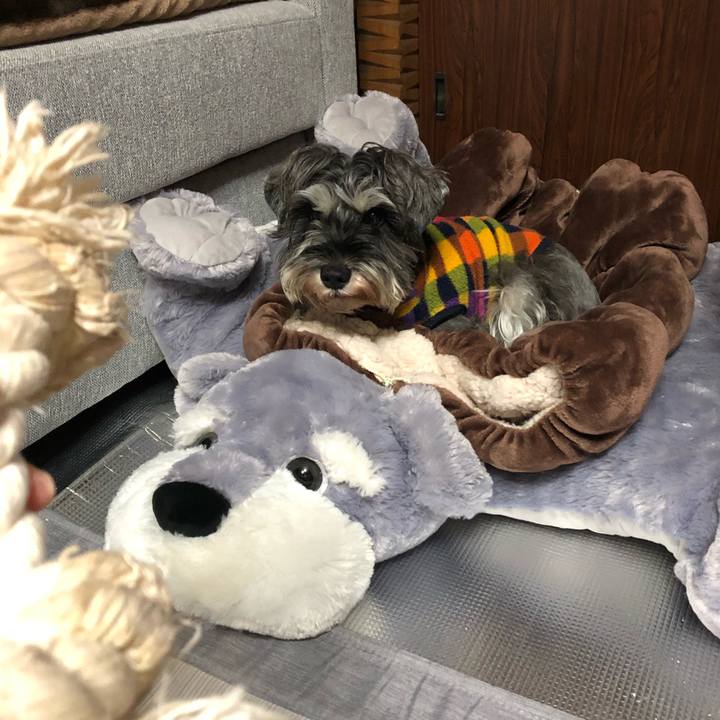 2af4d2ce 2bad 4887 8ce0 7bc90cb1bcea 1574940436013