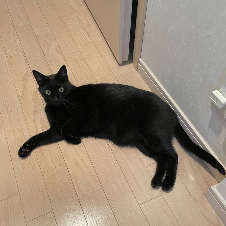 2af5361b ff7e 40bc 91aa 2362916655bc 1649583066423