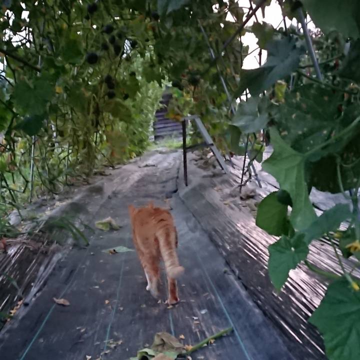 2af53dda 8620 490a 8f31 e3a7abfbc67c 1564913903884