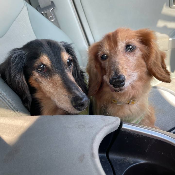 2af59502 961a 47e4 9c1b 13004811418f 1710596578356