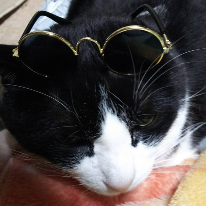 2af598f6 f29d 4cfc 9dda ed3346a34761 1554196604320