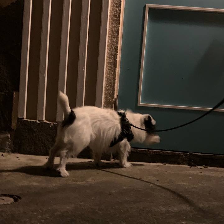 2af5a5a5 5846 4dd2 b3b0 3c5c772a13a5 1691763501618