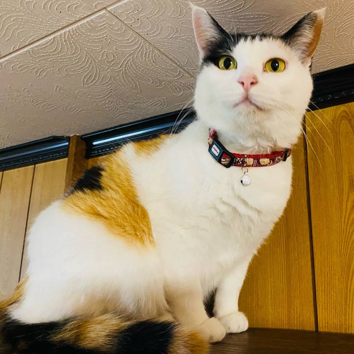 2af5a66b 2e7f 4835 b2a5 eb5990a1ac62 1652967234271