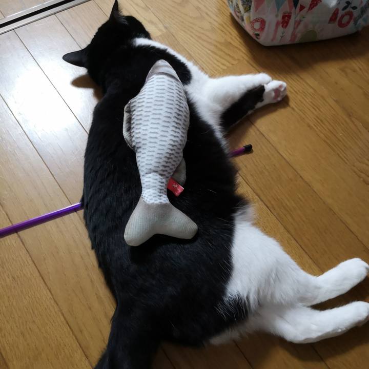 2af5bb22 0b46 40cb b47d 16f6196cea66 1558155626633