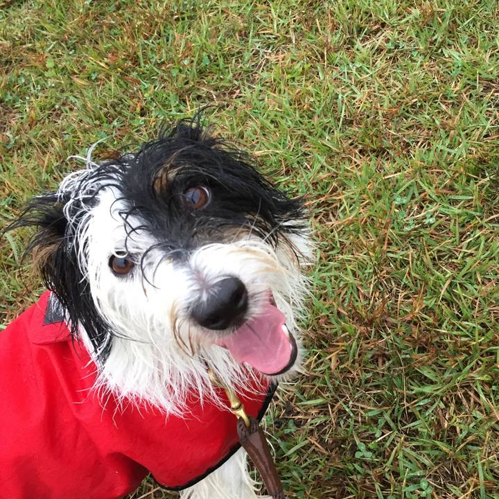 2af5eeee f1fc 42e4 8f9a 449221e3f216 1508105027452