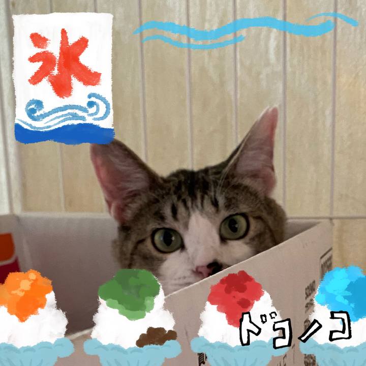 2af61513 737f 496b bf49 23403305514c 1723287987769