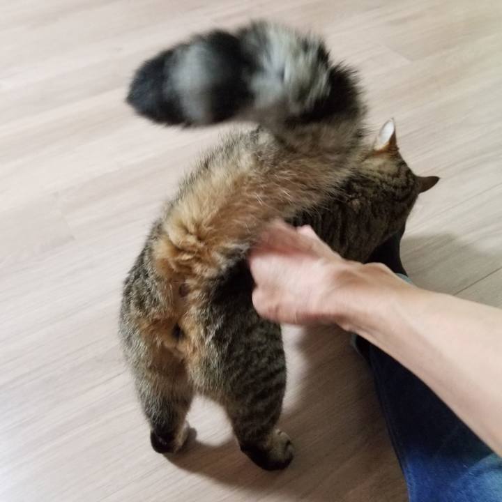 2af66d5e 806f 4565 85a6 9642e4919d45 1598823549459