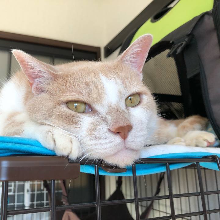 2af69aa6 e50e 4f25 adaa a0c30ffc21f6 1527115306910