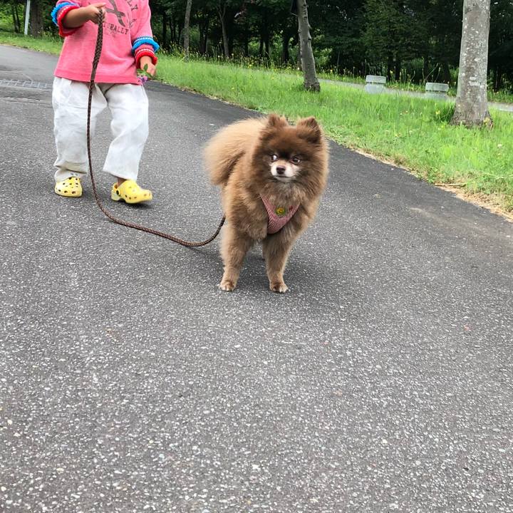 2af6c0d8 35cd 4cbf 8f64 ccc0b79b824e 1533457851225