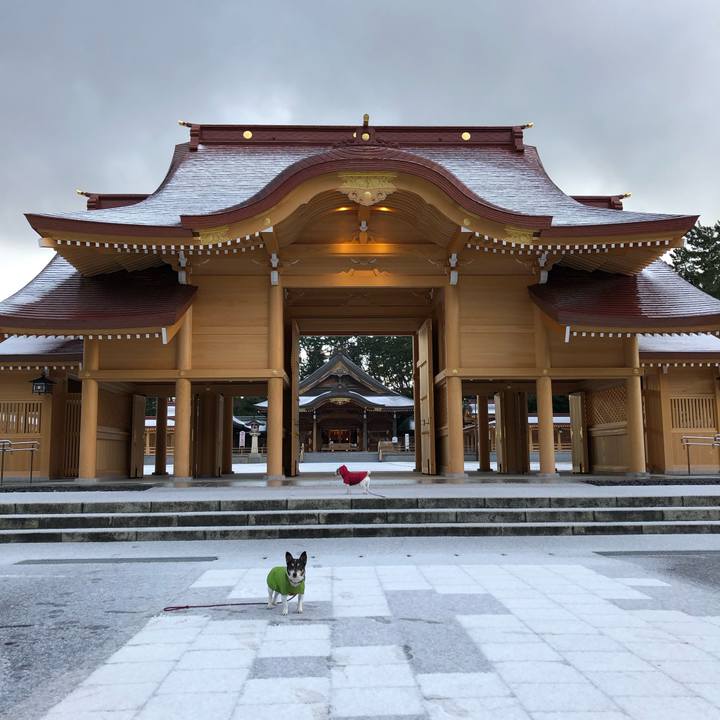 2af6d546 1fe2 4c8f b47c 822e7ccdf9a5 1544833441829