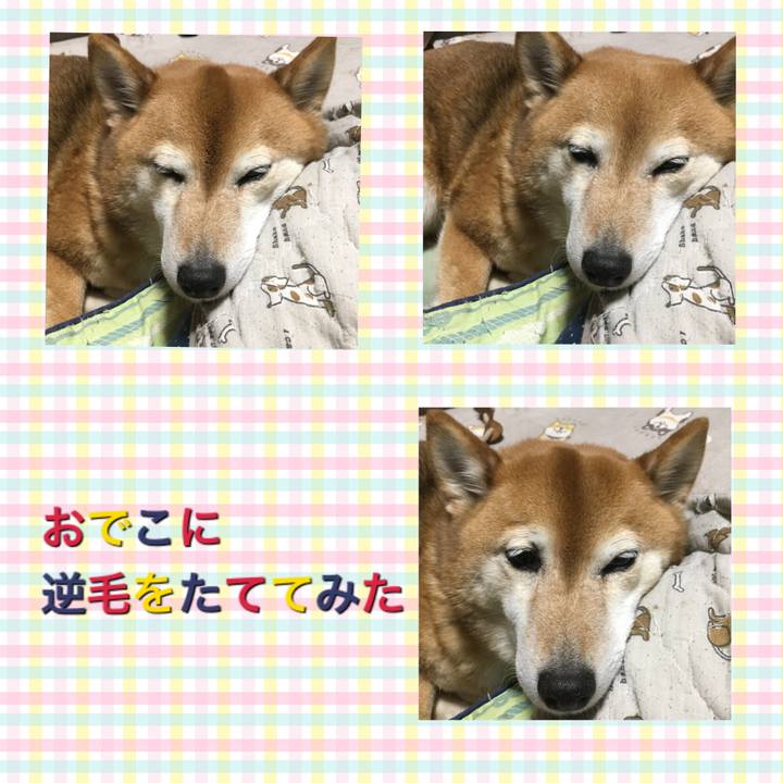 2af6e802 4dc0 48ff aa0f 8f2935511de7 1616326620538