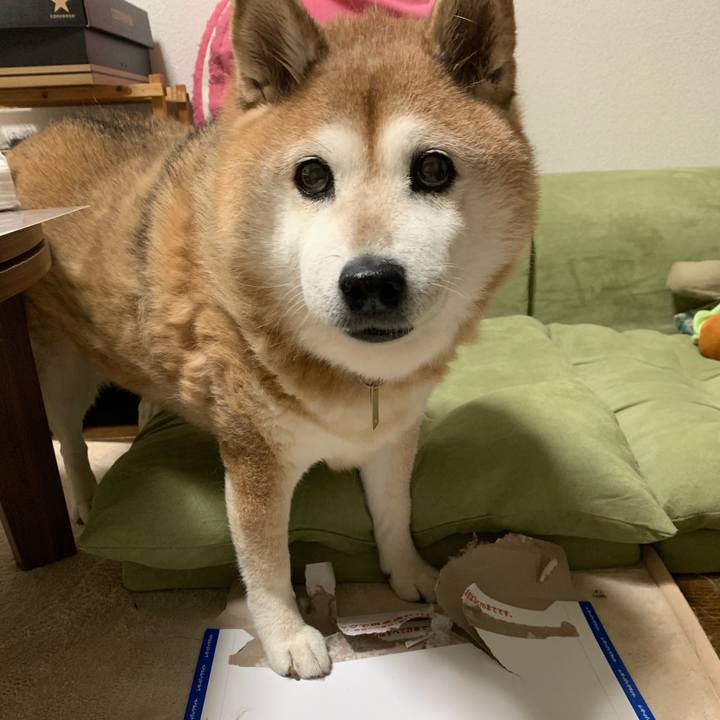 2af7175e f042 4812 8246 40015eca4b56 1568122219127