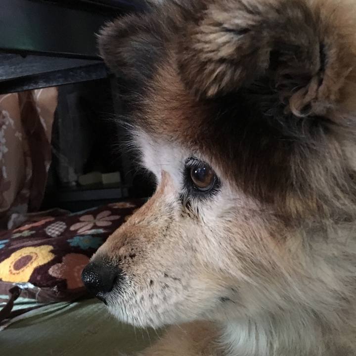 2af71786 bf72 4d2c 961a 32cf4a722a62 1577011455898