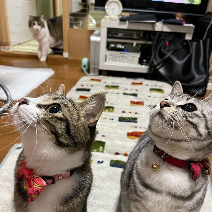 2af71995 b749 4209 88e8 05b82f3cafc9 1717312261456