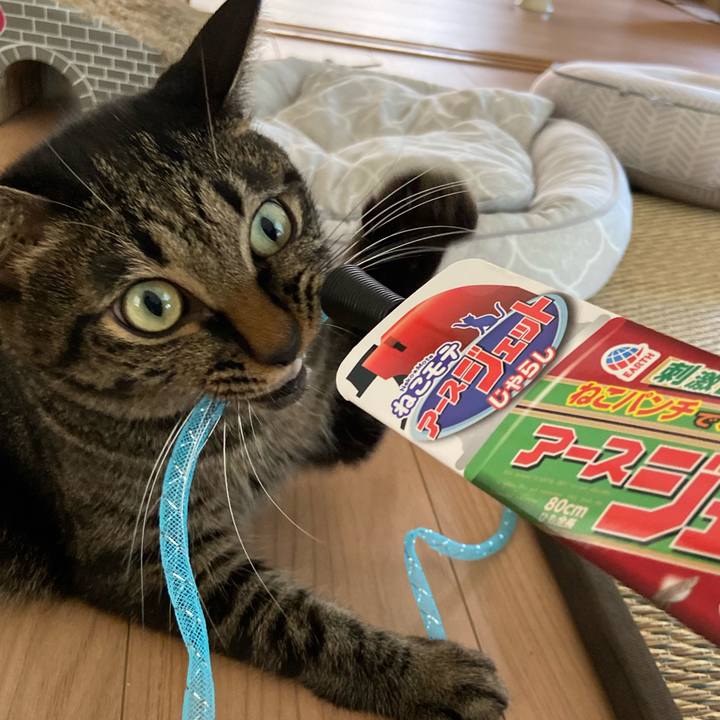 2af71d1a b351 4219 9269 0e19cbbf25e9 1662899200049