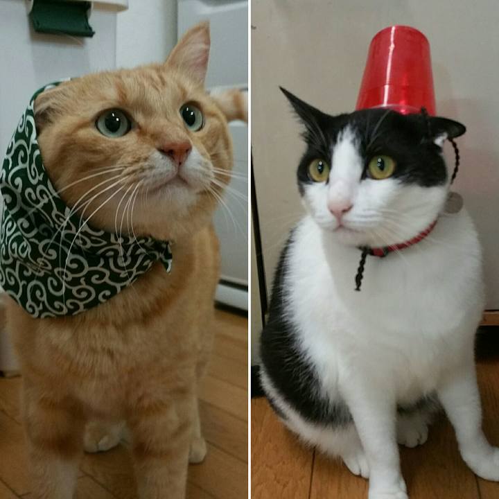 2af72bfb 2b27 492f b4bc aba121d0bc42 1570192330816