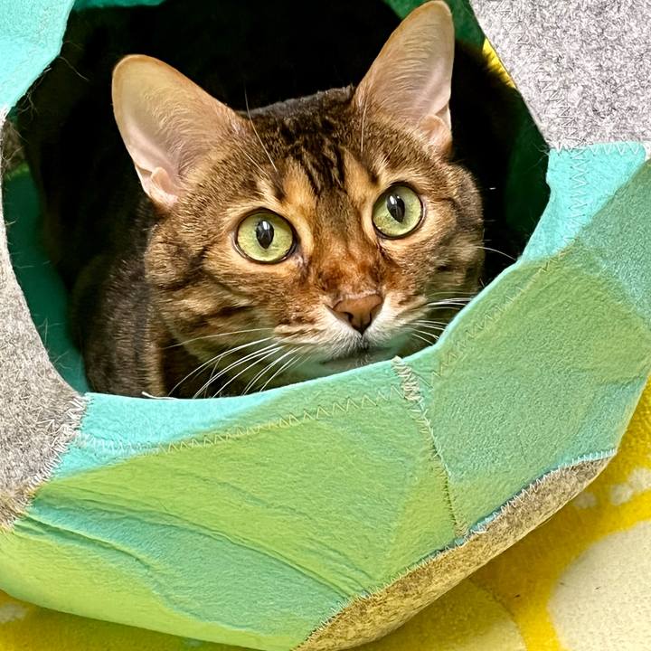 2af7301c b5d3 4036 88f6 689d34addd38 1644057840669