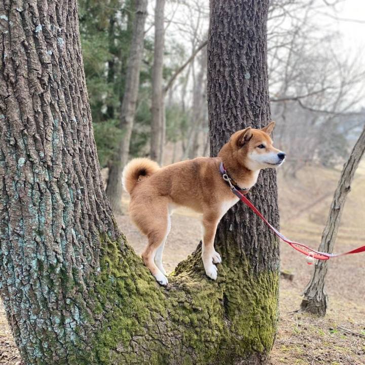 2af77162 4e29 472c a65b 2ae656c626aa 1613116860072