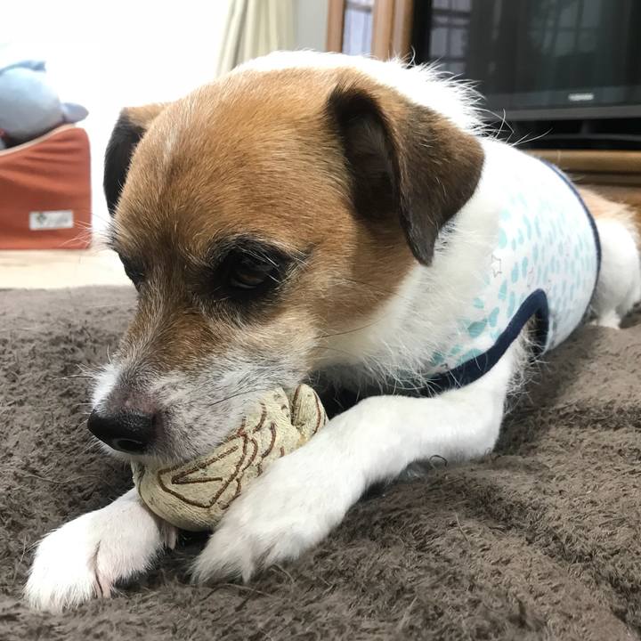 2af7757e e726 4b9c a1d1 627a5d16b4e8 1533504913460