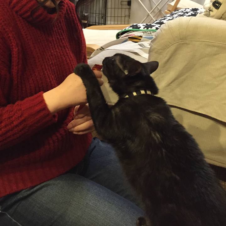 2af7853d 6778 40d7 af80 ffefd98df8eb 1515554931013