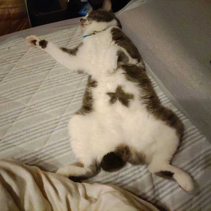 2af78c3a 858e 4255 9031 16afb0103b7c 1718109656821