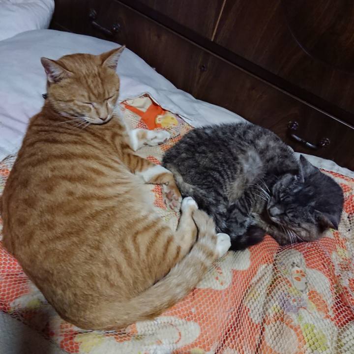 2af78fc9 8c43 439d 95a5 928fbe06111c 1568984619711