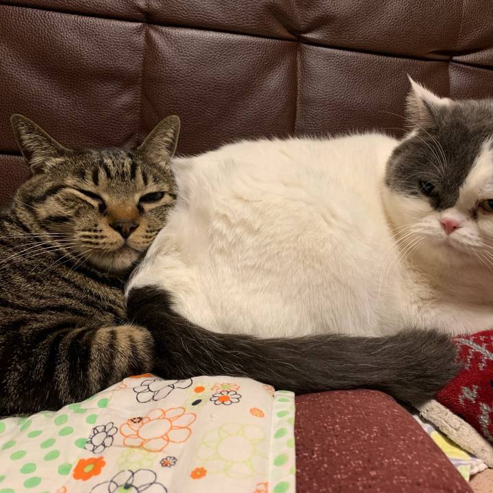 2af83e01 0512 4615 9fc3 c03fd3dba8b0 1610242098655