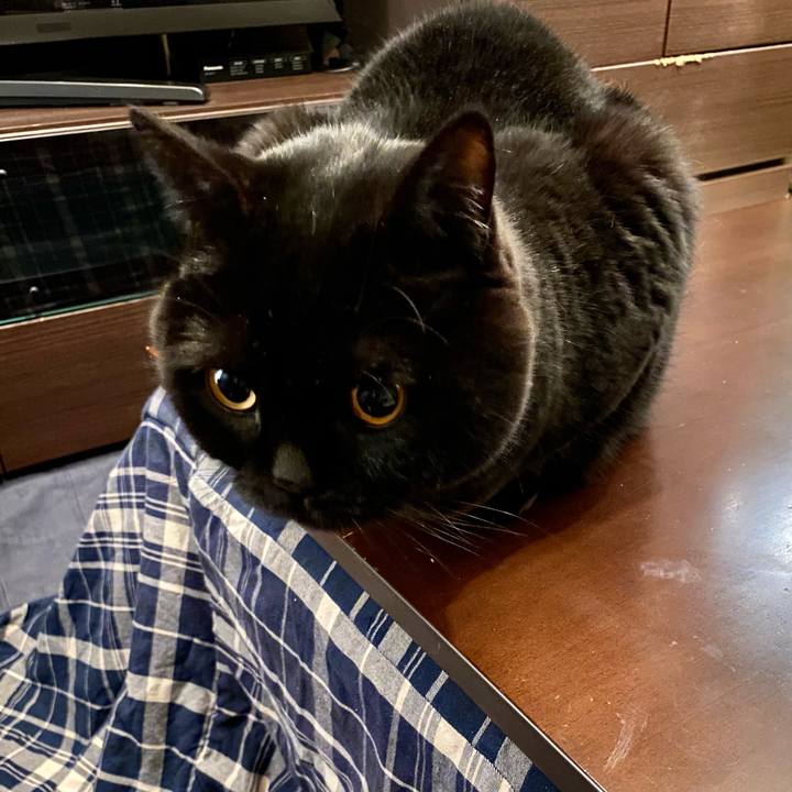 2af847b4 33f6 4d25 baa9 dfc2de3badcb 1674827261594