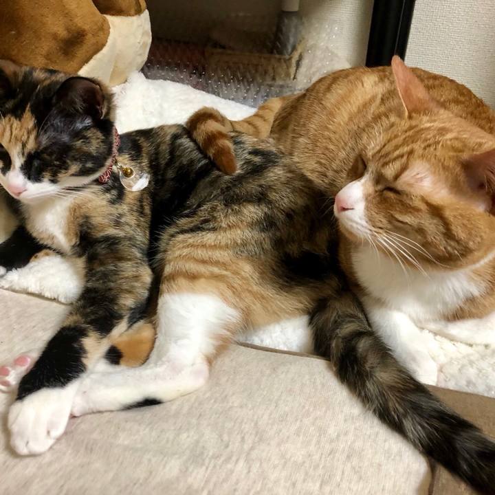 2af8780f 234b 4bc3 b66a 83cc56eb39d3 1554374206527