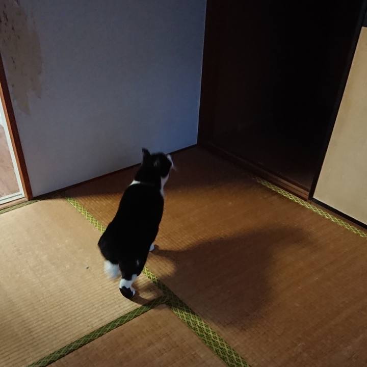 2af89d2a 6ce0 4a53 8adc 51c2288c1833 1677209358664