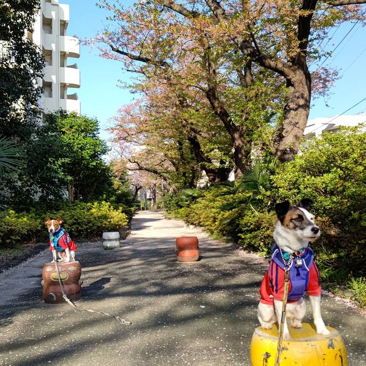 2af8e445 a24f 464a a05a df4e07429bb0 1649370660536