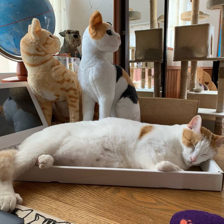 2af9002d b0dd 4e1b be2b 635fc029b23f 1596341102228