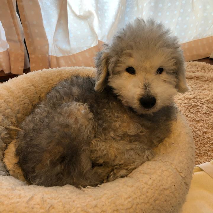 2af95b90 94c1 4505 9ad0 0a2cc488352c 1608609884188