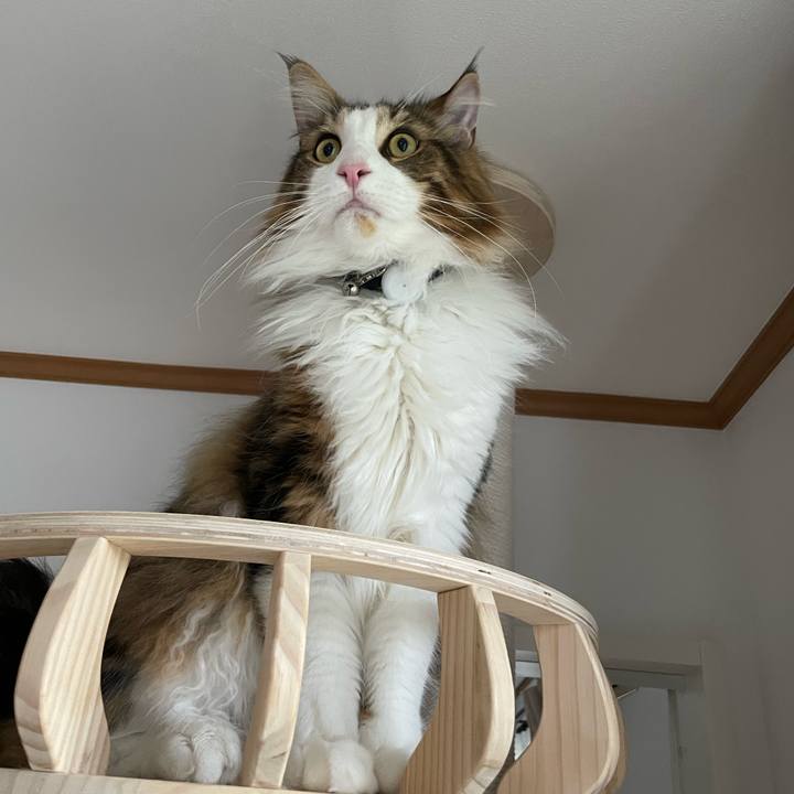 2af97e54 7ca3 41bc bfe9 710af419638a 1656021907185