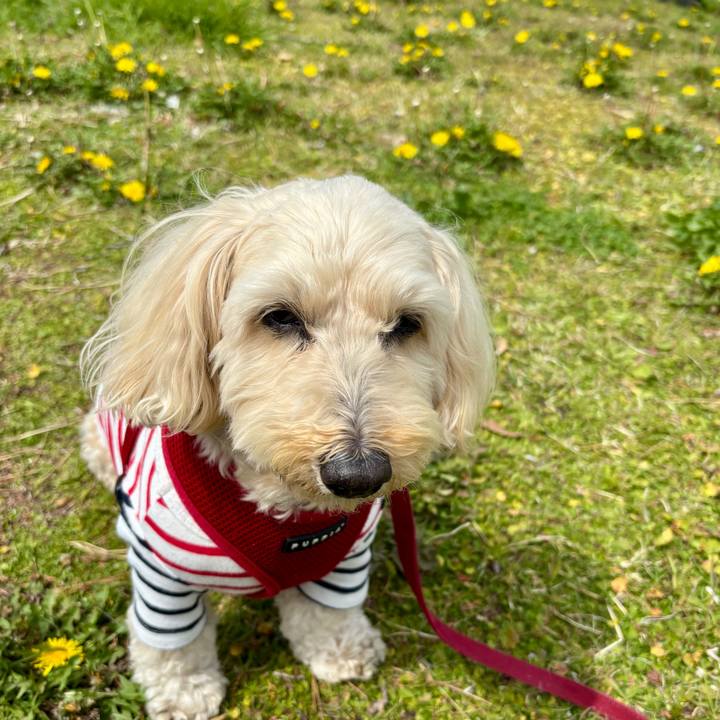 2af997e7 9888 434f bfd7 dadb2754ad06 1774170352268