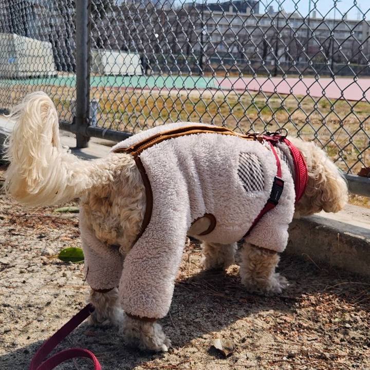 2af9a80d f62f 414a a7d3 929314e68300 1771153943932