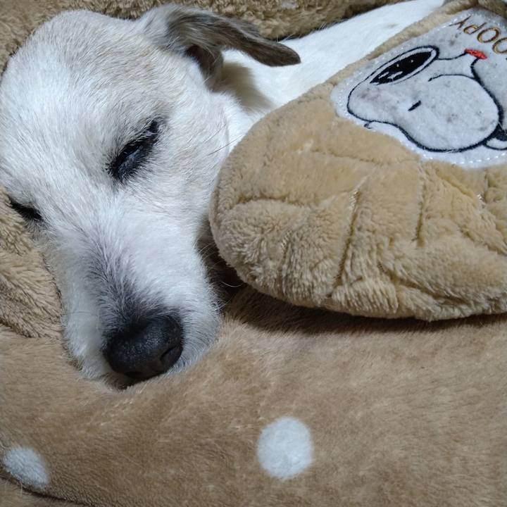 2af9b2c4 9f29 4569 ba86 e15dd184e5fc 1708686222999