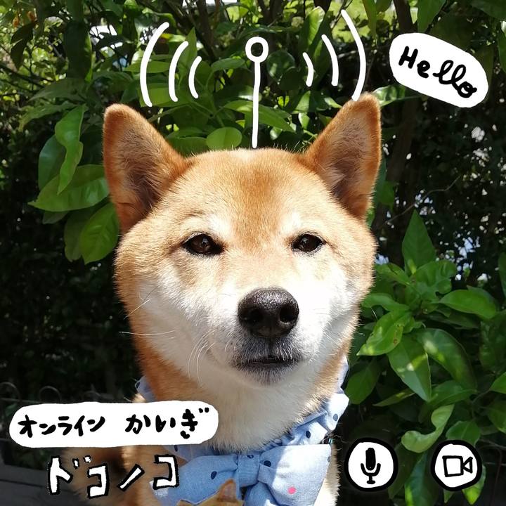 2af9cbde 15bf 4d1e a1c5 2f4c5de6b7d8 1590808129608