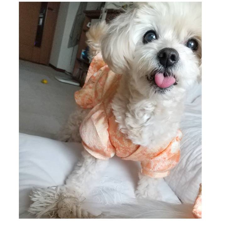 2af9ea0c 41be 4654 af79 d49505e152ce 1646443700676