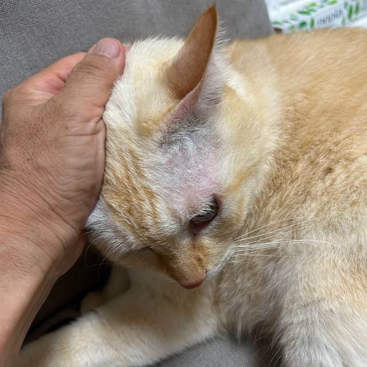 2afa2e76 60d3 412f ac39 0df79df963cf 1755589357071