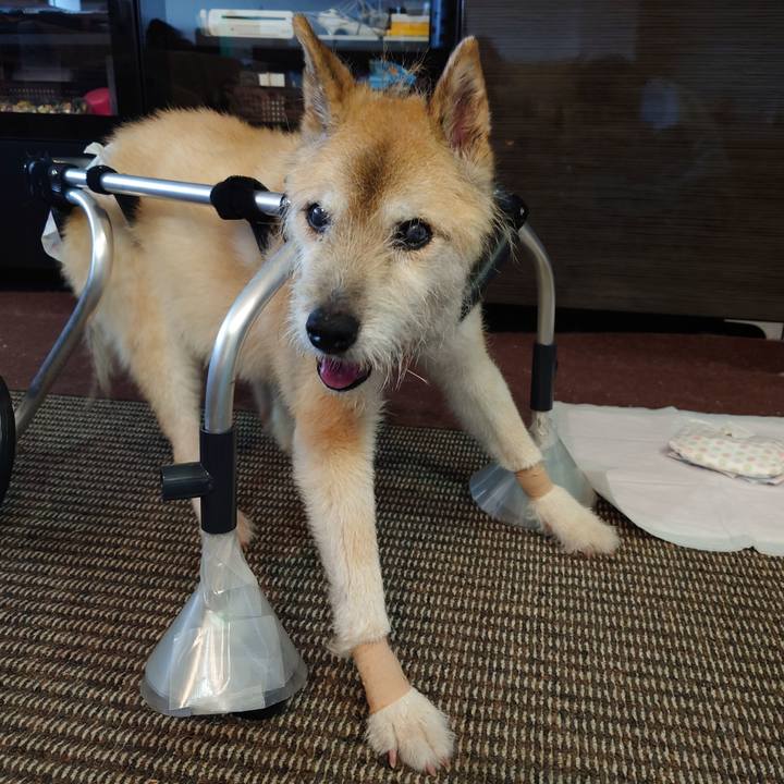 2afa39ce 1f47 4300 9f71 a3c3951ce302 1657378046375