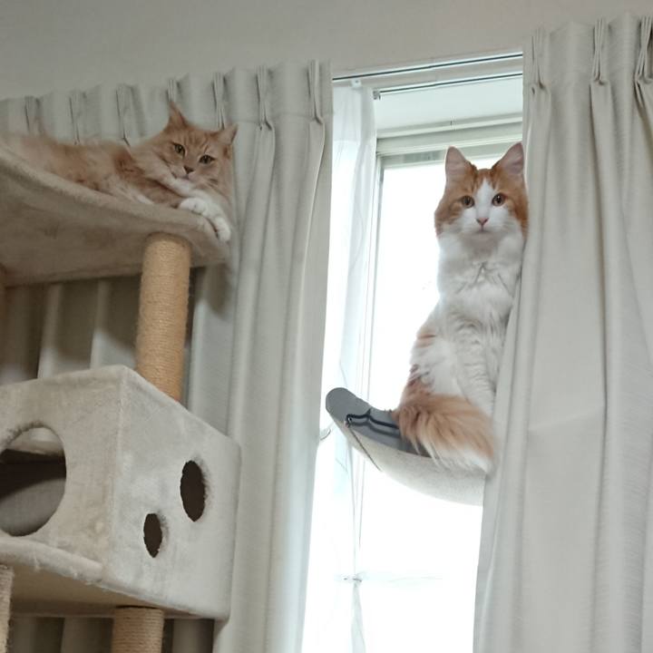 2afa5979 e204 45a7 95f7 dd19ddc7d93d 1576720534445