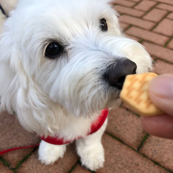 2afac123 a09c 4653 b777 d35d372a1cd1 1529628355957