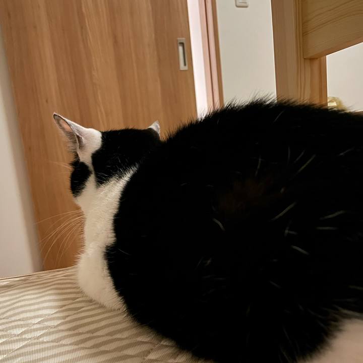 2afaed3e e69f 47cc a775 9ad6bbb1d1cb 1658229385085