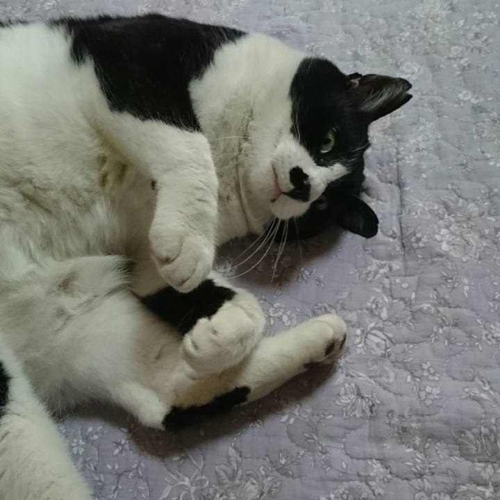 2afb3c9d 8ac4 4163 9948 36bee4da31b0 1520737840402