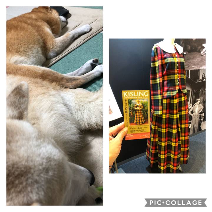 2afb3dcc 285b 47a9 93c7 5f73733f006c 1602066046390