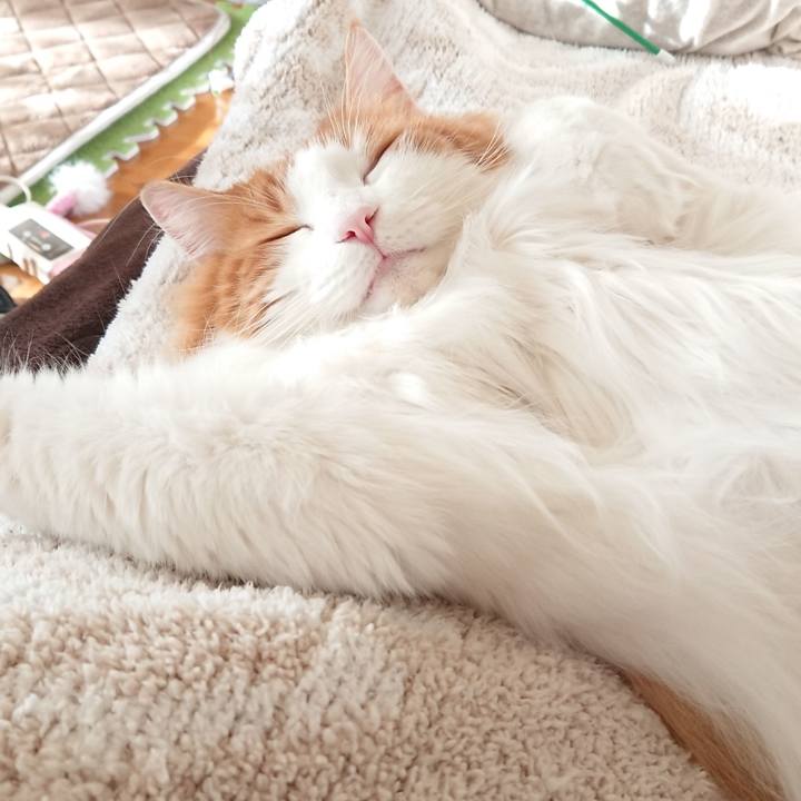 2afb5dbc 2359 41a5 b981 bd3038da4a61 1546917309952